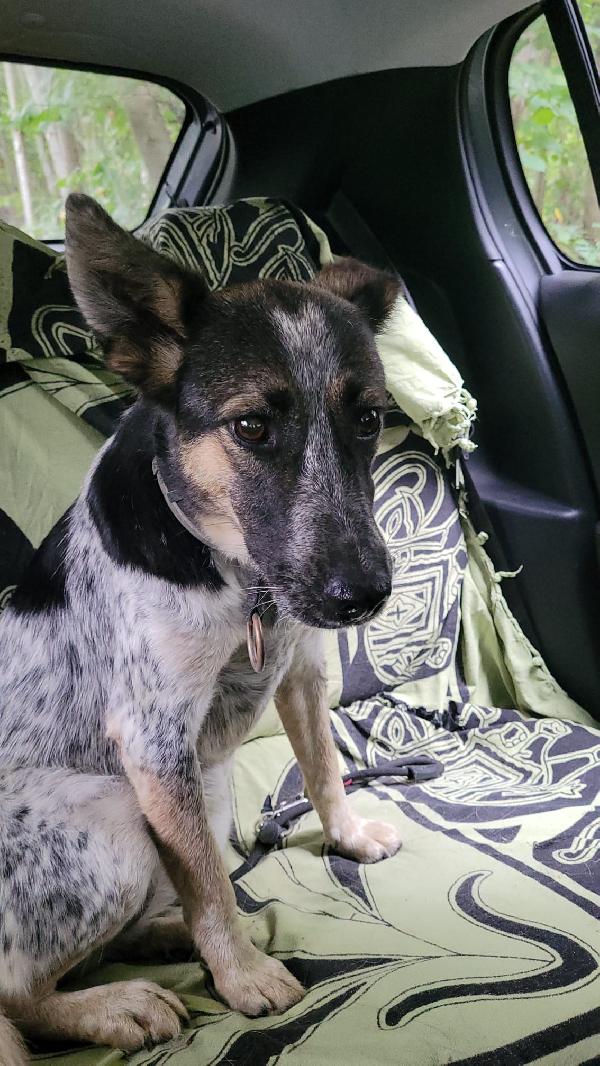 Divy_una splendida meticcia Foto 3